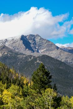 Scenic landscape of forested mountains under a clear blue sky in Rocky Mountain National Park.