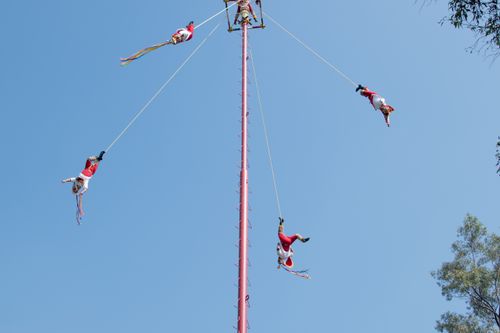 Free Mesmerizing Voladores perform an aerial ceremony under a clear blue sky. Stock Photo