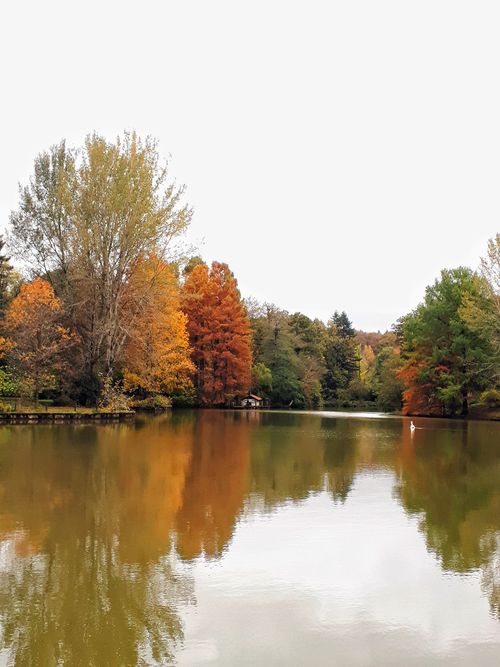 Free stock photo of autumn, green, istanbul Stock Photo