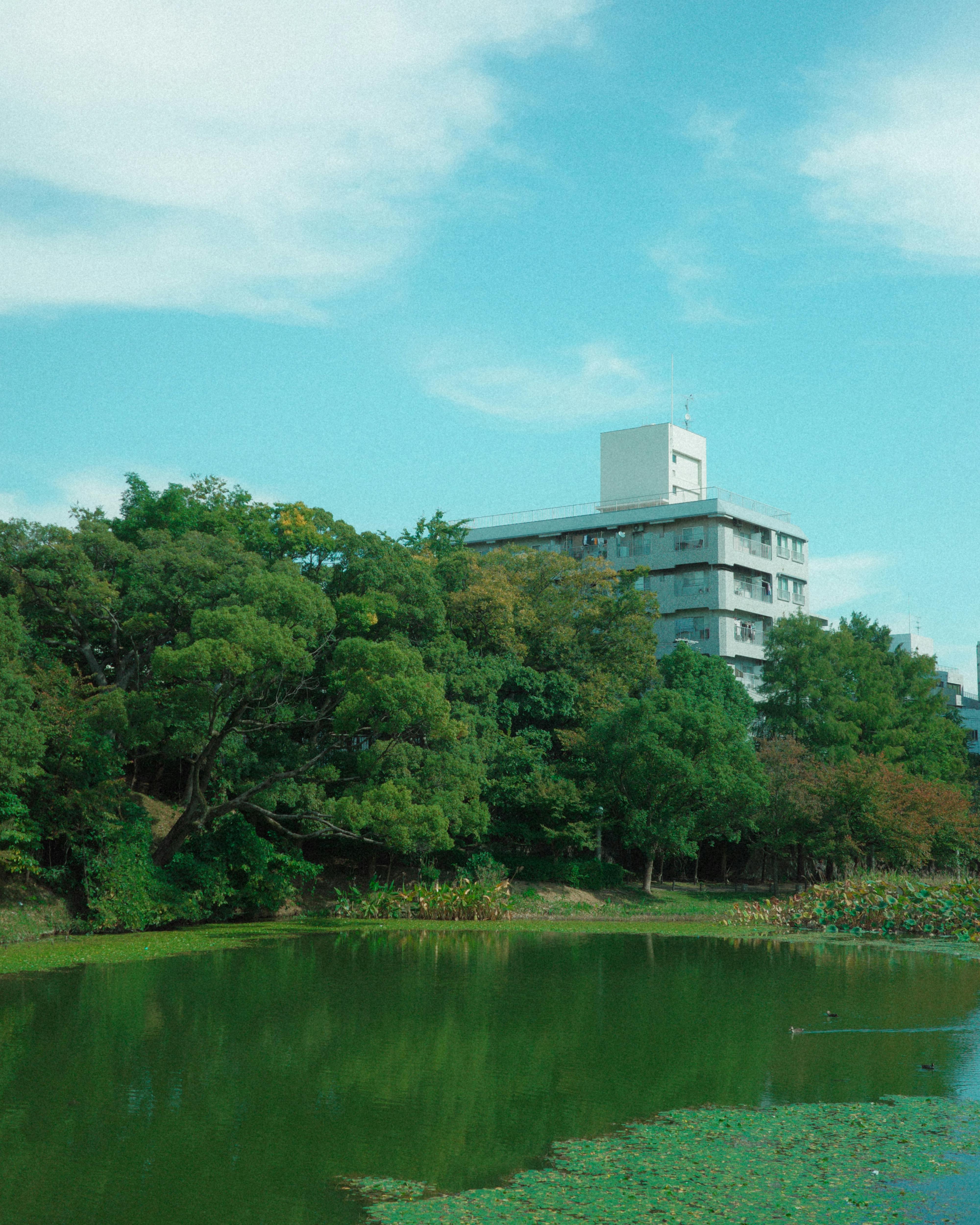 Nuclear facility infrastructure