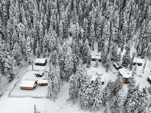 冬季, 小屋, 房子 的 免費圖庫相片