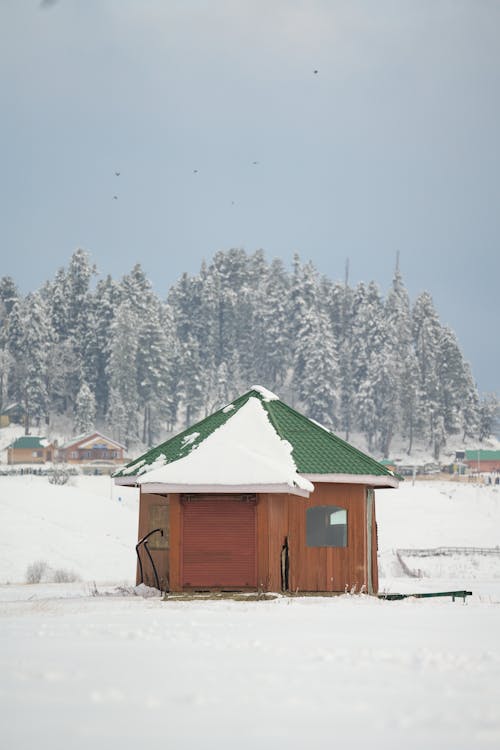 Wooden Shed in Snow
