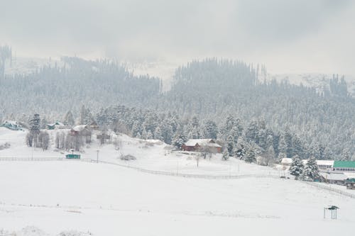 Houses in Winter 