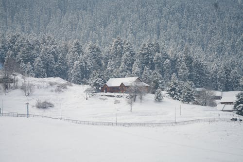 Darmowe zdjęcie z galerii z budynek, dolina, dom