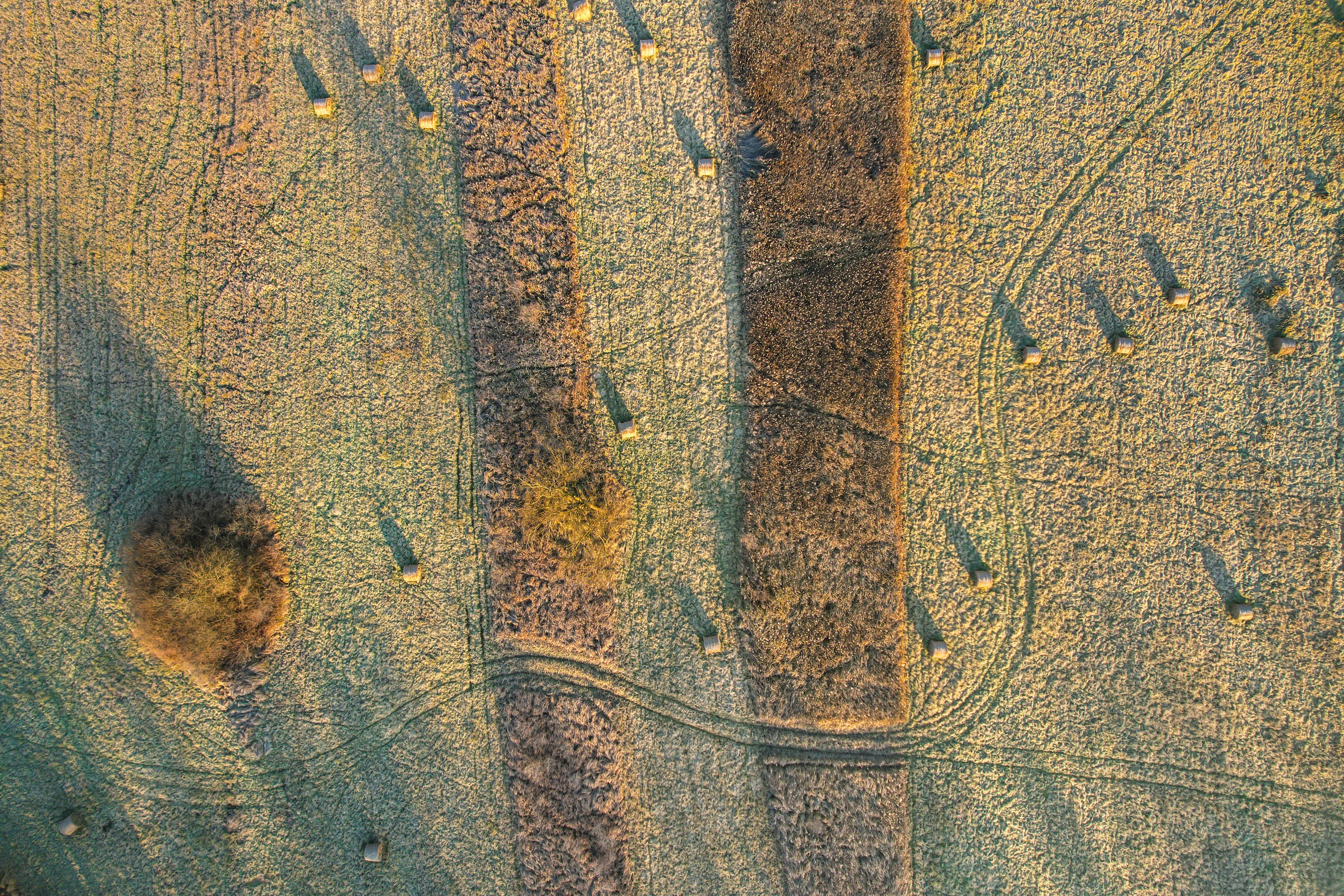 Drones Research Report 2026: A $90 Billion Market by 2036 - From Niche Military and Hobbyist Applications Into a Critical Ena