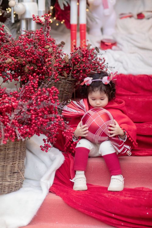 Free Adorable child in festive setting with red berries and holiday decor. Stock Photo