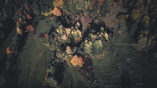 Drone Shot of Countryside in Autumn