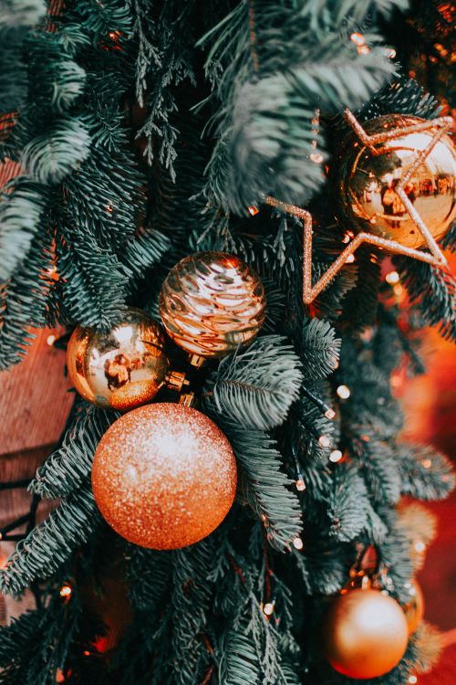 Free A close-up of a Christmas tree decorated with gold ornaments and green pine branches, exuding a festive winter vibe. Stock Photo