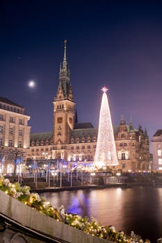 Hamburg's illuminated Town Hall with a festive Christmas tree by the river at dusk.