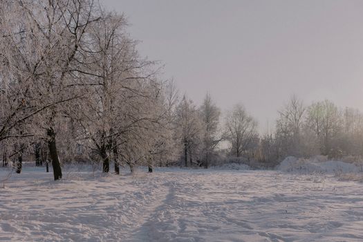 A tranquil snowy landscape showcasing frost-covered trees in a peaceful winter setting.