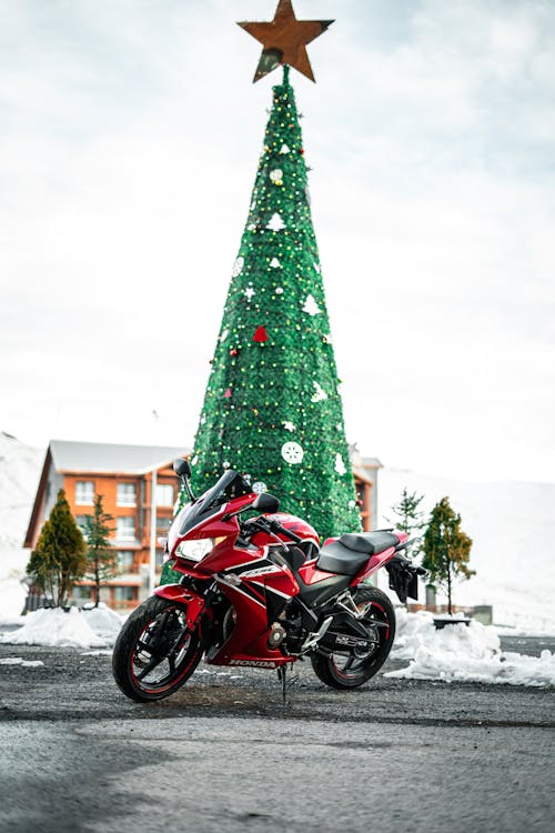 Motorcycle and a Christmas Tree 