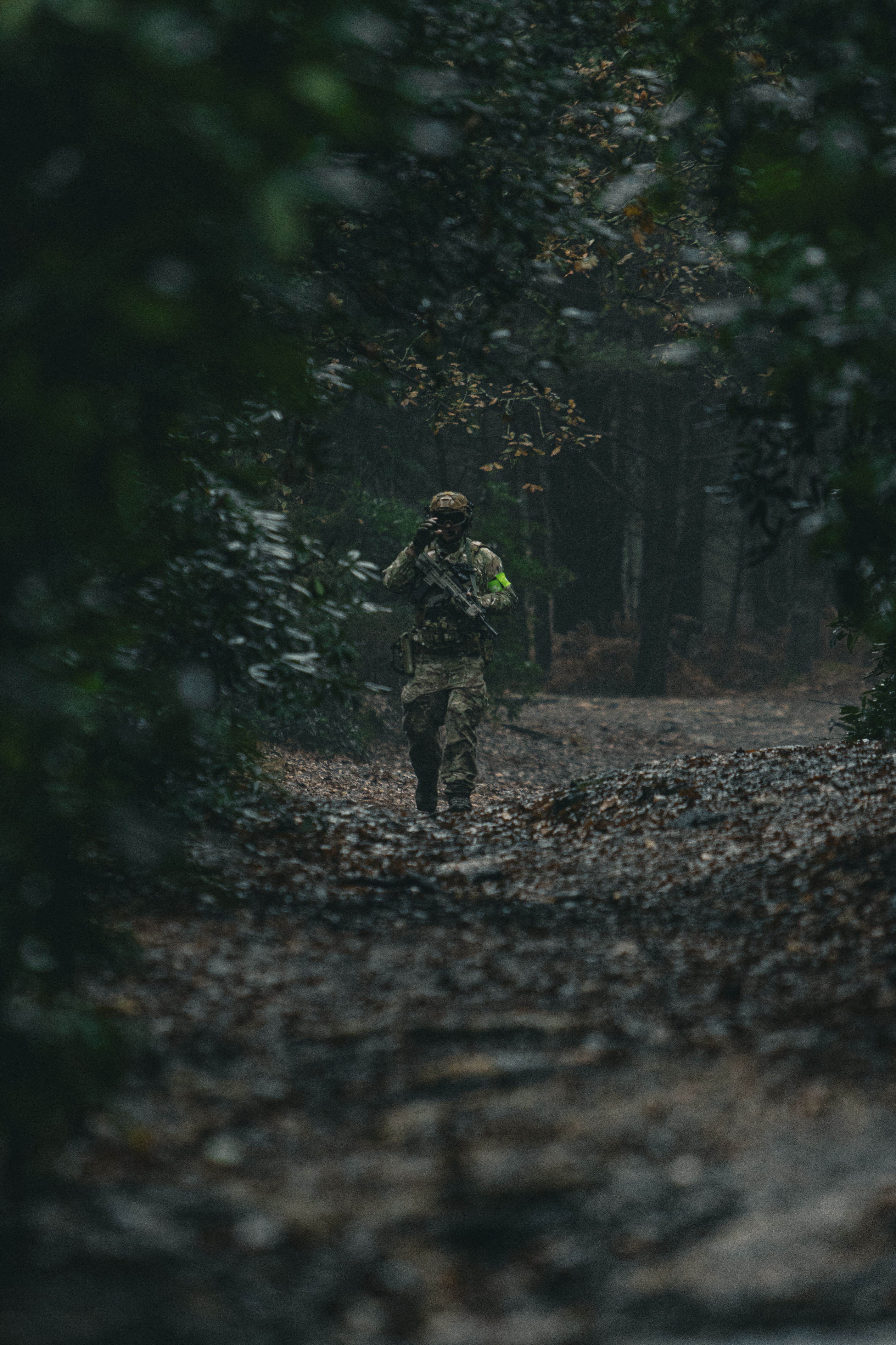 Man Wearing Camouflage in a Forest · Free Stock Photo