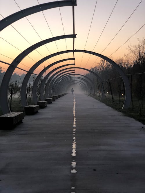 Walkway in a Park at Dusk 
