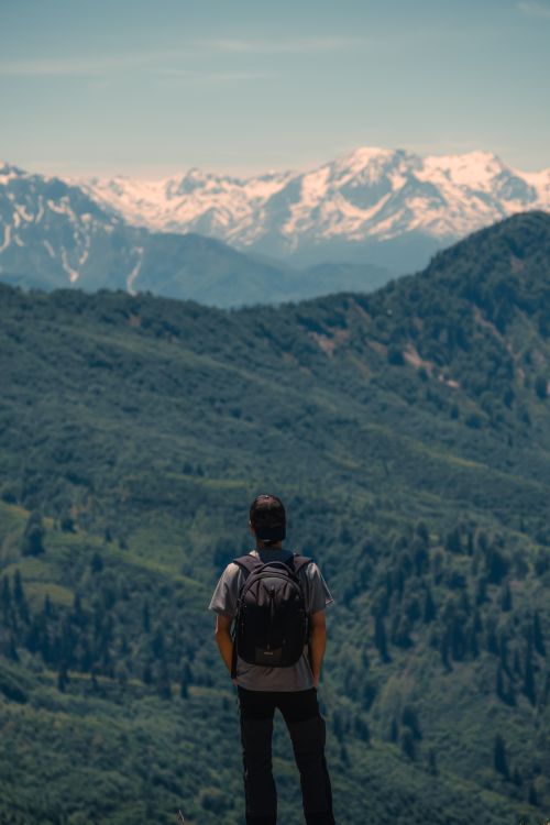 Free Man with backpack gazing at lush green forest and snow-capped mountains in daylight. Stock Photo