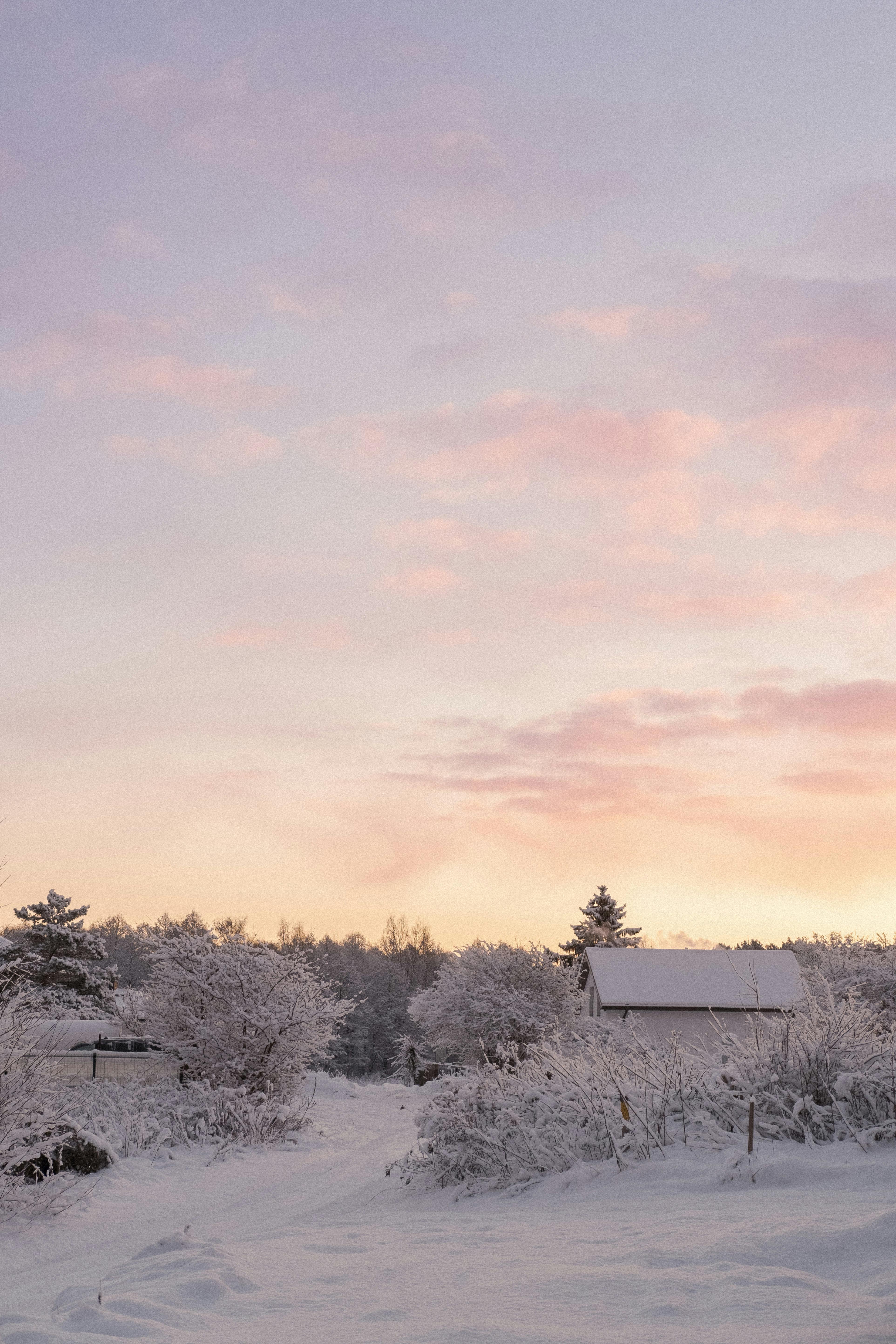 Serene winter sunset casting warm hues over a snowy rural landscape in Riga, Latvia.