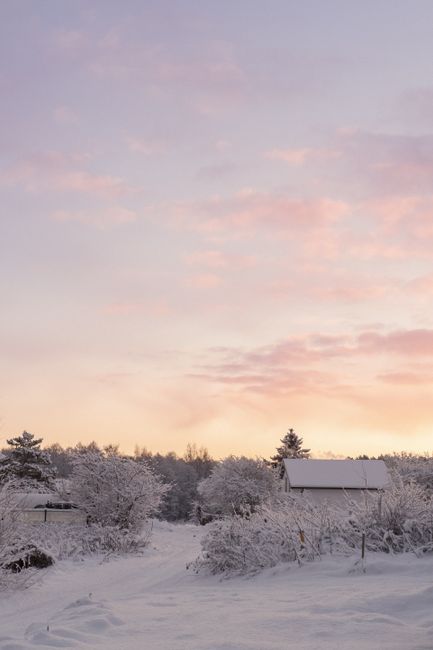 Serene winter sunset casting warm hues over a snowy rural landscape in Riga, Latvia.