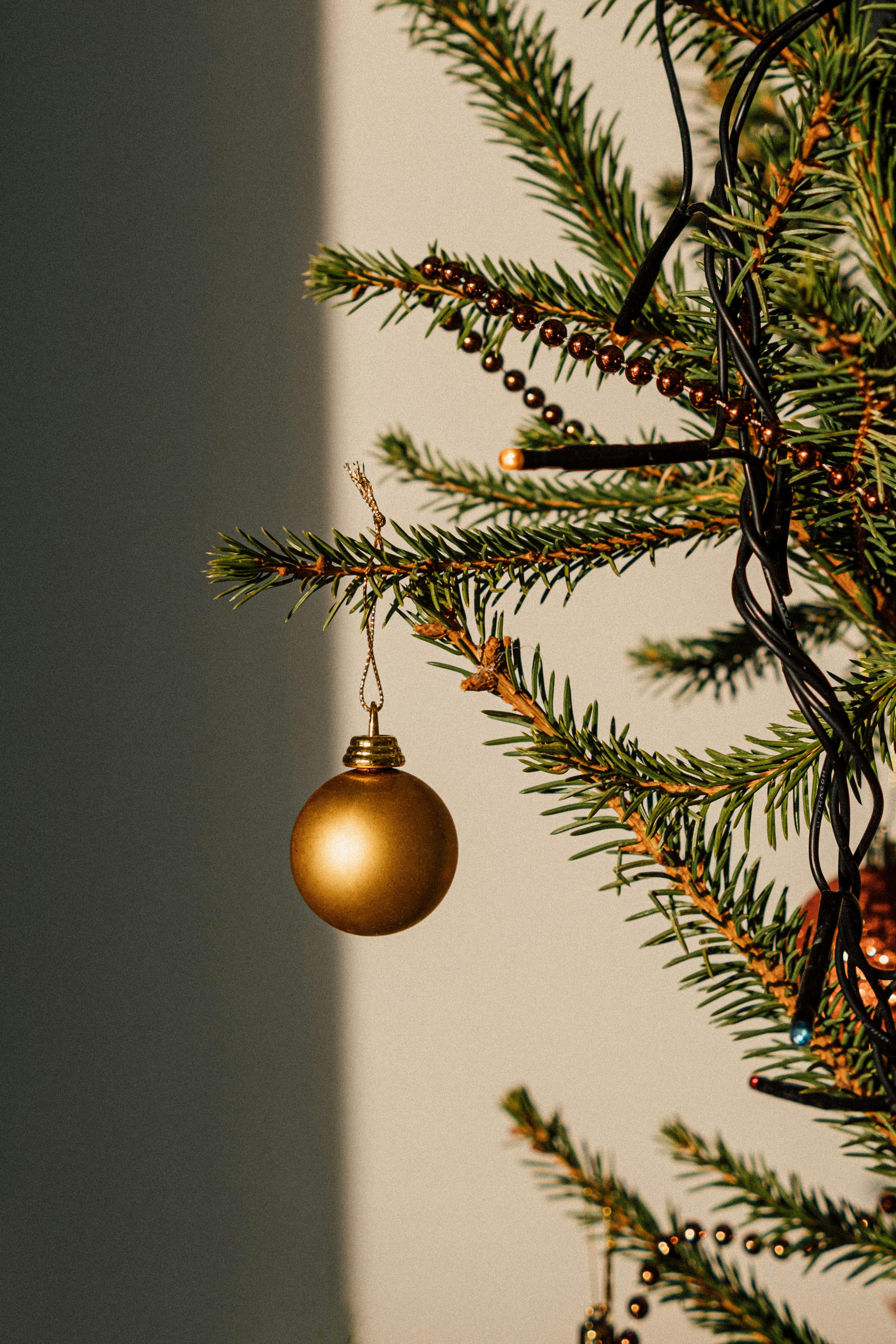 a christmas tree with a gold ball hanging from it