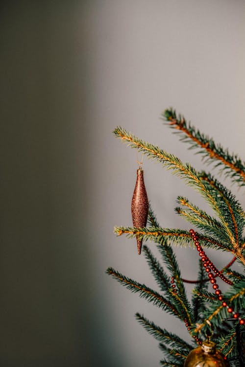 A christmas tree with a gold ornament on it