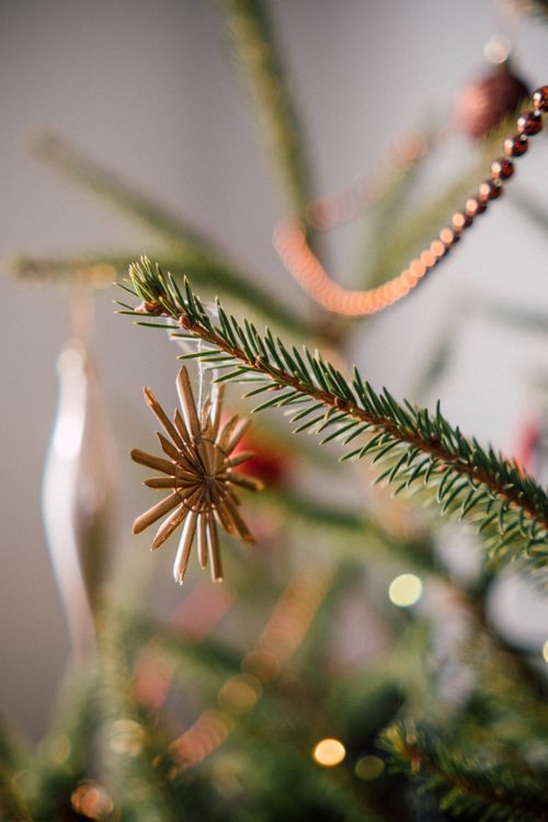 Free A detailed shot of a Christmas tree branch adorned with ornaments and garland. Stock Photo