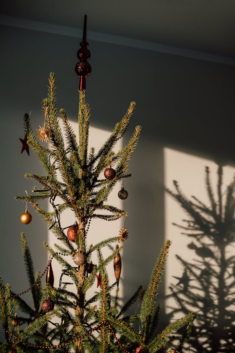 A Christmas Tree With Ornaments And A Shadow