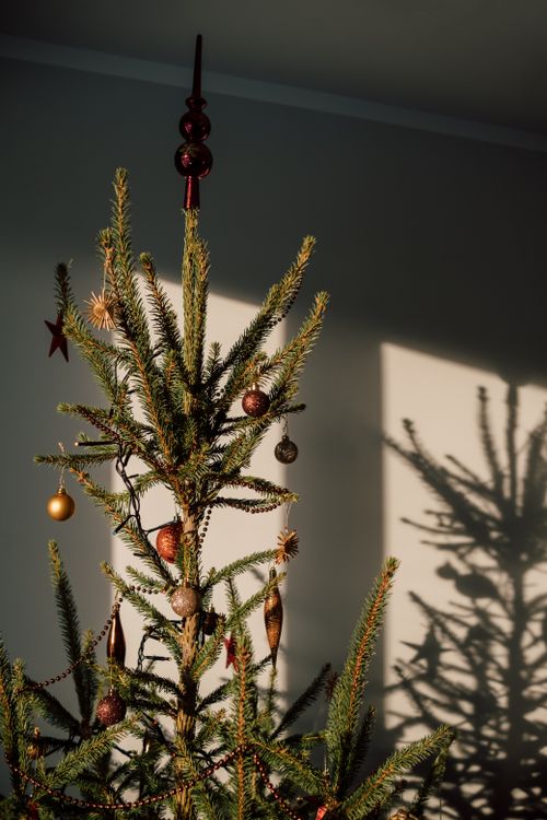 A christmas tree with ornaments and a shadow ยท Free Stock Photo