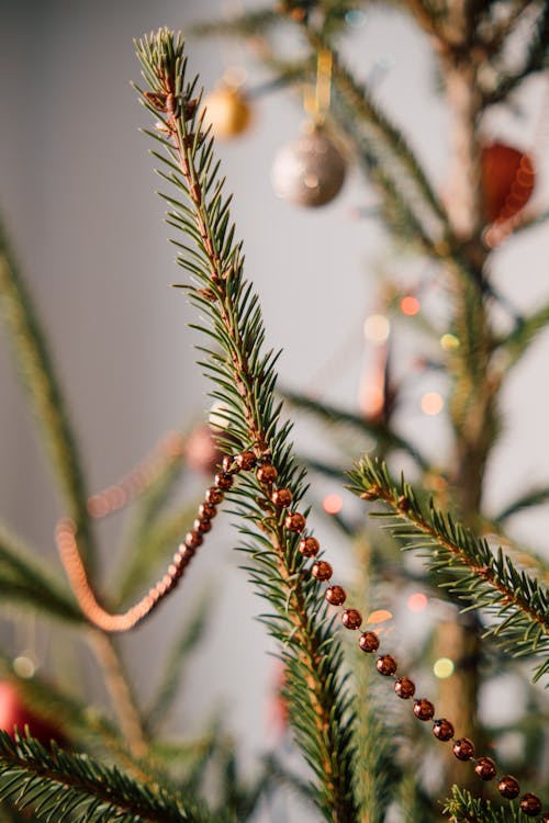 A close up of a christmas tree with ornaments