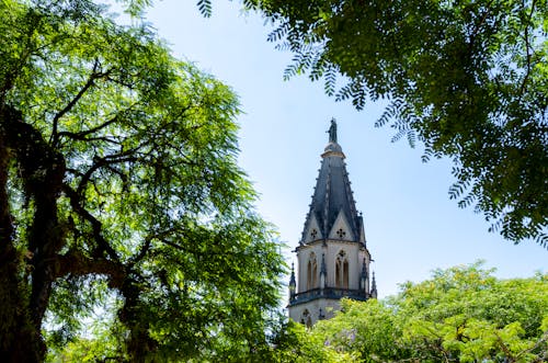 Tower of a Catholic Church 