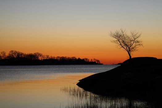 Captivating sunset over a calm lake with tree silhouettes, creating a peaceful, reflective scene.