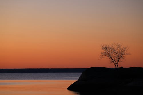 Clear, Yellow Sky over Lake