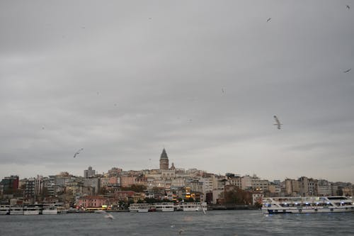 Free Istanbul Cityscape with Galata Tower Stock Photo