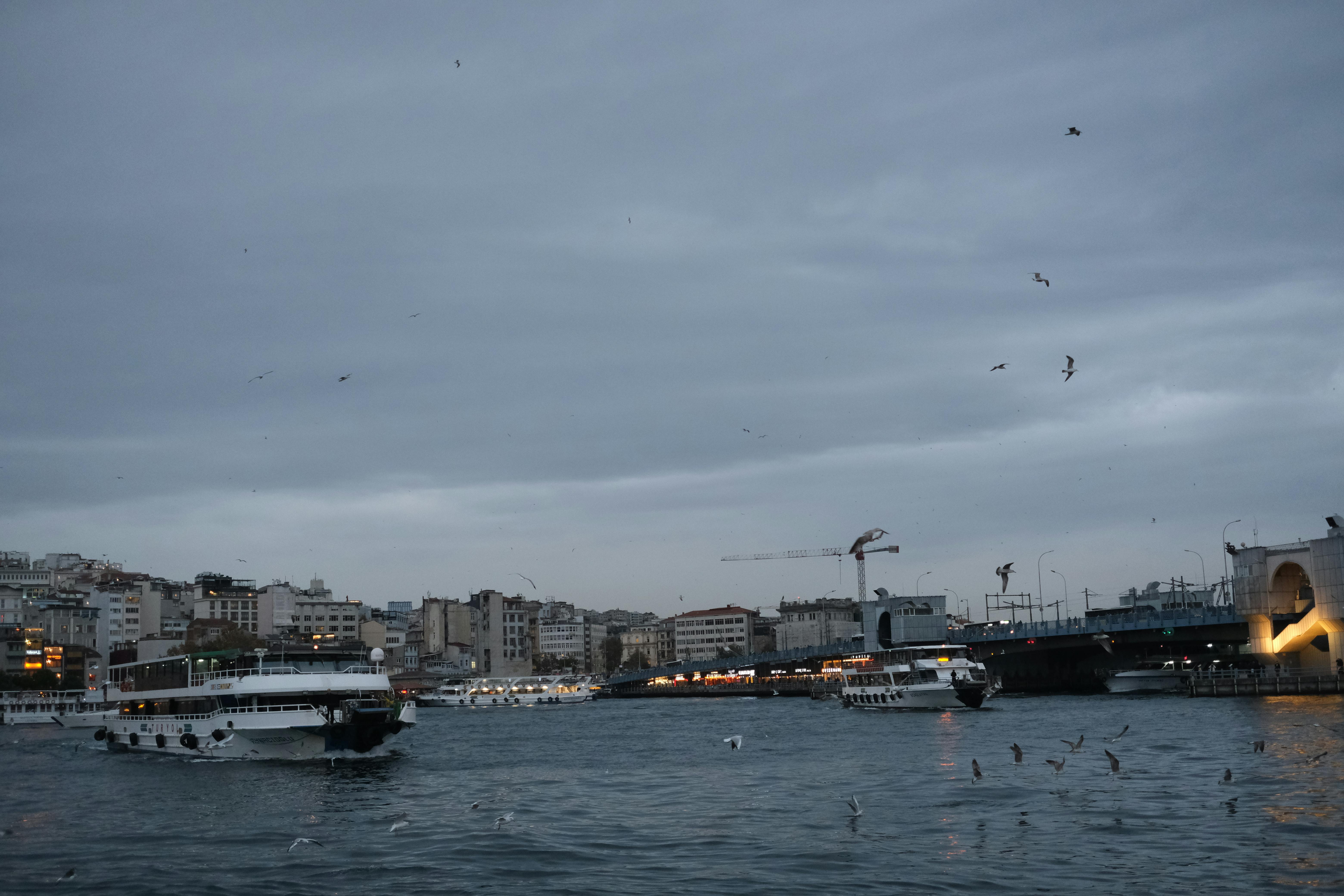 Gratuit Photos gratuites de architecture, architecture de pont, asie Photos