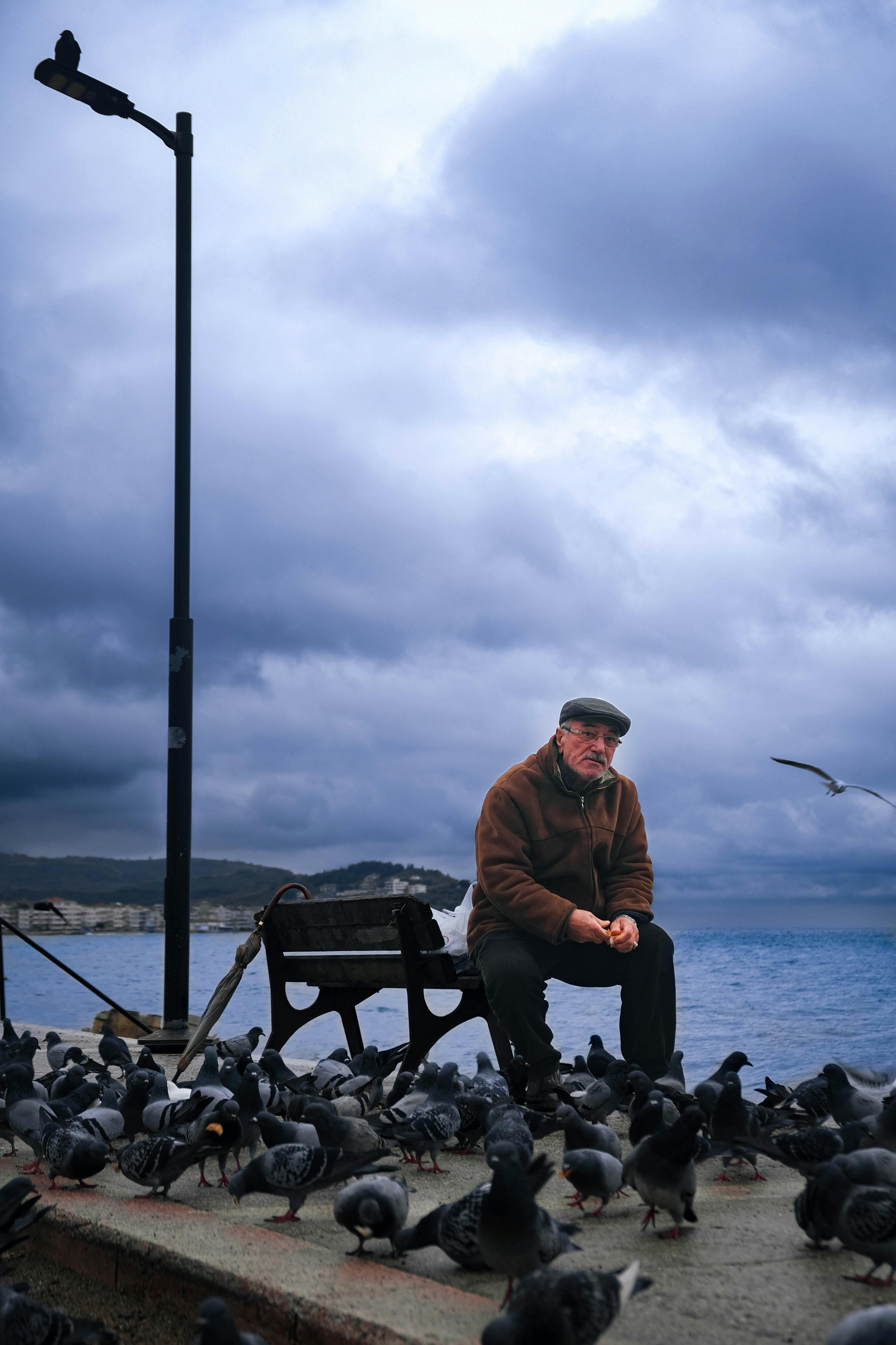 De franc Foto d'estoc gratuïta de a l'aire lliure, adobe, Adobe Photoshop Foto d'estoc