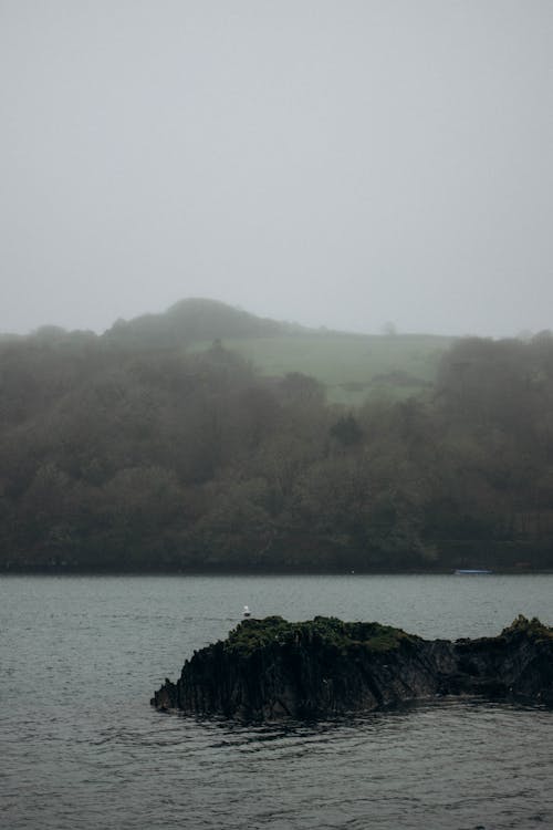 Fog over Lake with Rocks