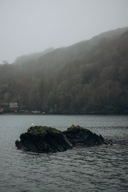Rocky Islet on a Lake on a Cloudy Foggy Day