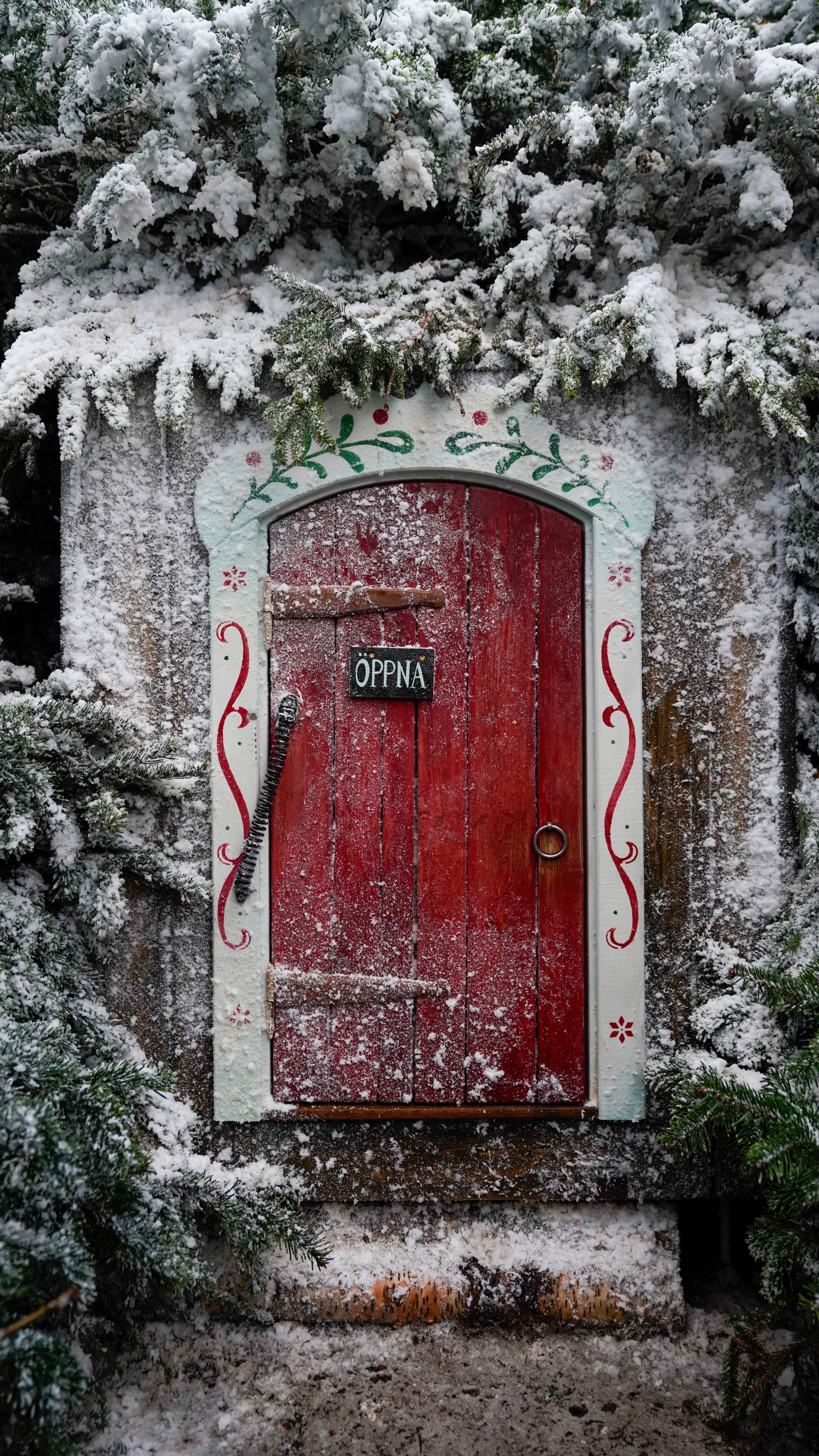 A charming rustic red wooden door decorated for winter amidst snowy conifer branches.