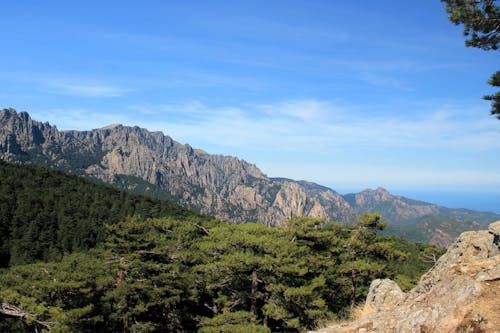 Scenic View of a Mountain Range and Forest in a Valley 