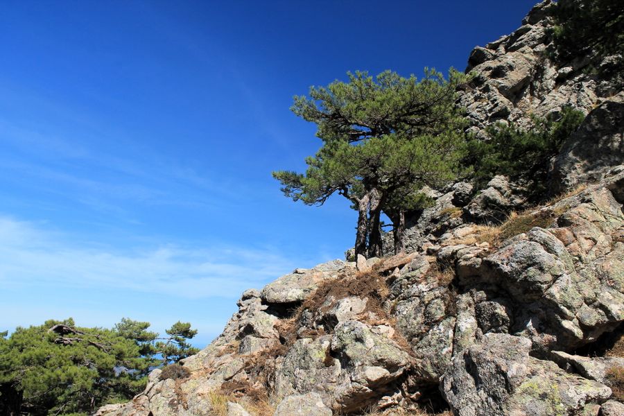 Bavella & the GR20