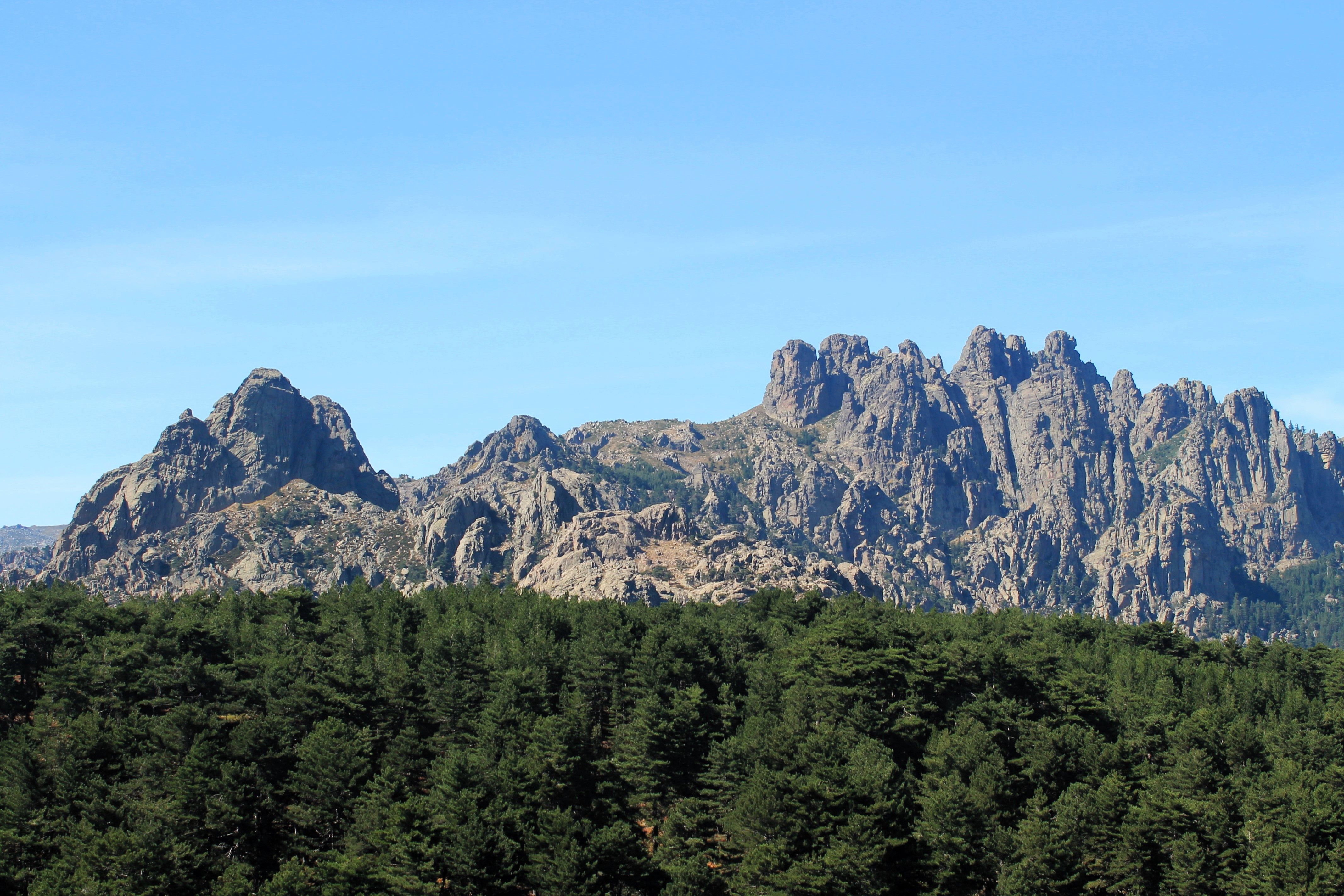 Scots pine forest and granite ridges in the Sierra de Guadarrama above Segovia