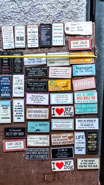 A diverse selection of humorous and motivational quote signs displayed on a wooden board.