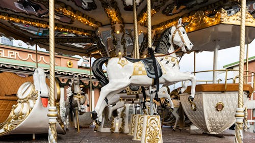 Carousel in an Amusement Park 