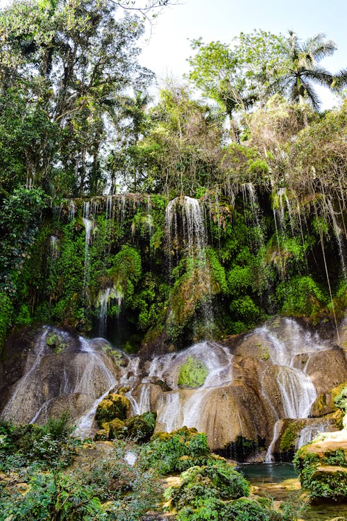 Бесплатное стоковое фото с вертикальный выстрел, водопад, деревья