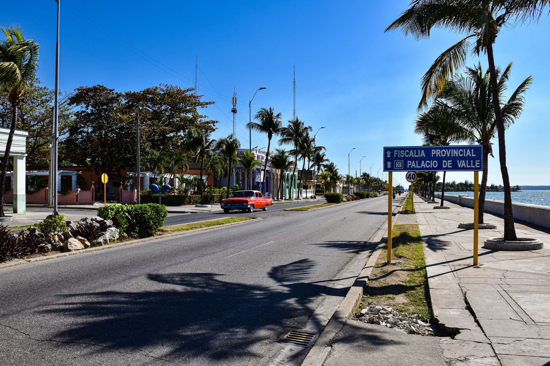A classic vintage car on a sunlit street in Cienfuegos, Cuba, lined with palm trees near the coast.