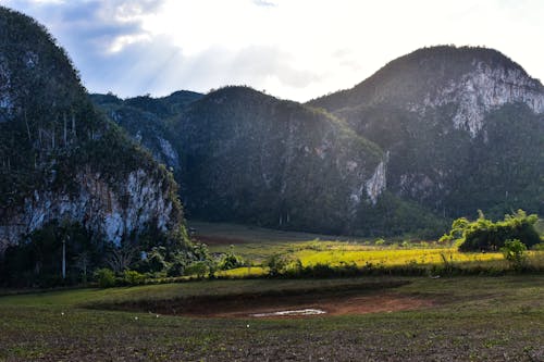 Foto profissional grátis de área, chácara, colina