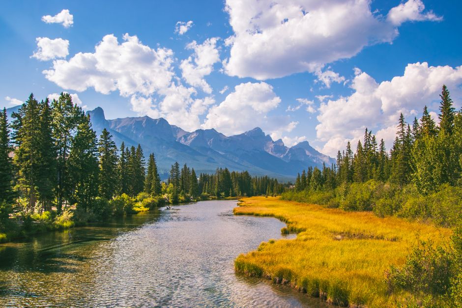 Fotomural Vista impresionante del río Bow con montañas y bosque en Canmore, Alberta, Canadá.