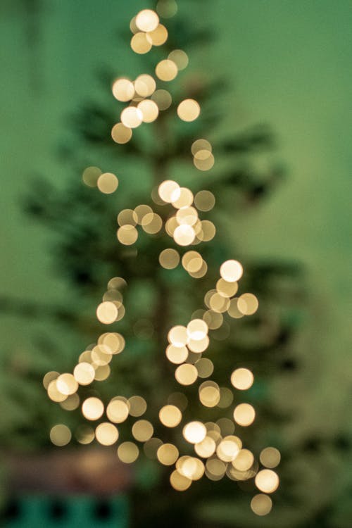 クリスマスツリー, ボケ, ぼやけているの無料の写真素材