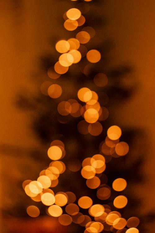 クリスマス, クリスマスツリー, ボケの無料の写真素材