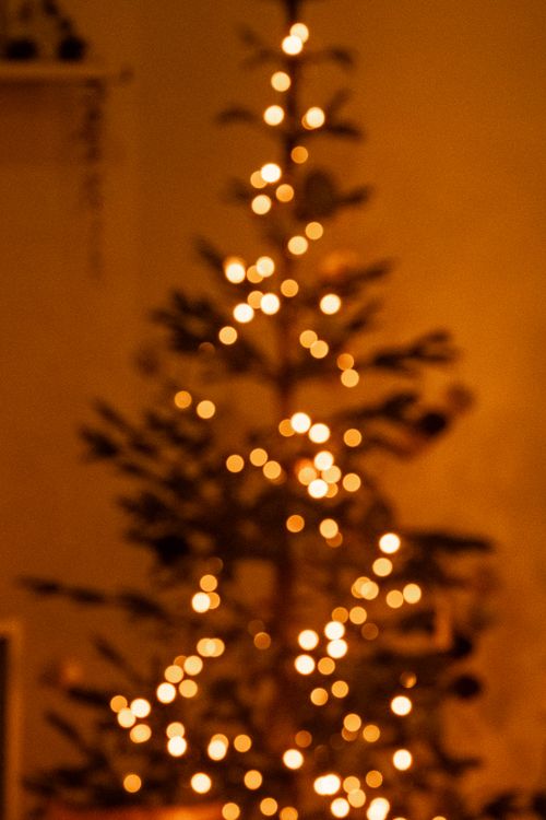 Free Blurry bokeh effect of Christmas tree lights in warm indoor setting. Stock Photo