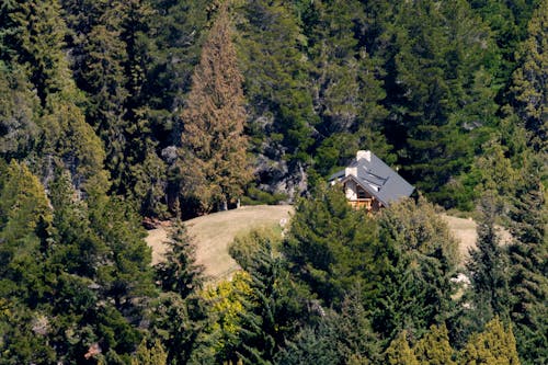 Aerial View of a House in a Forest 