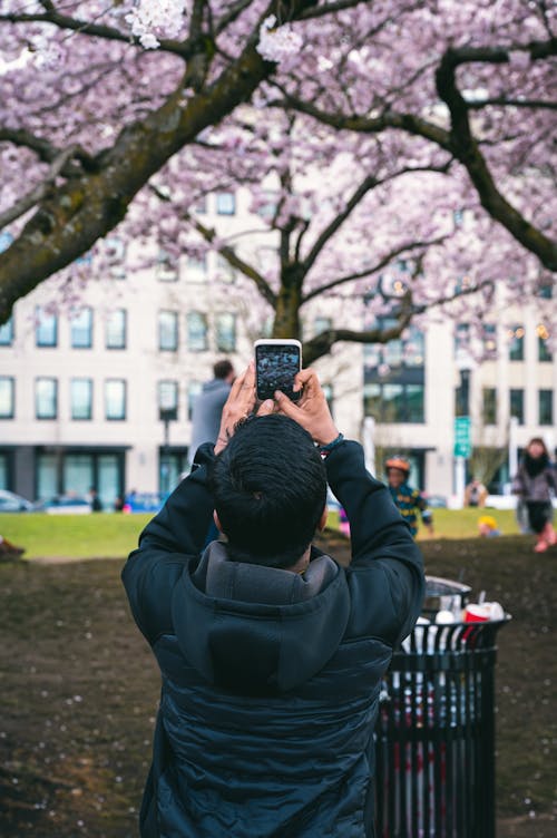A Person Taking a Picture of a Tree 