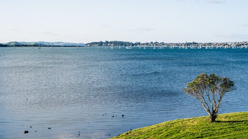 View of a Large Body of Water with Boats in the Horizon 